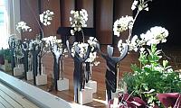 IMG-20160429-WA0006