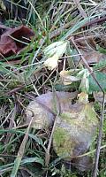 IMG-20160106-WA0007