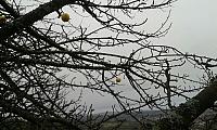 IMG-20160106-WA0019
