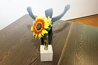 IMG_1650.JPG