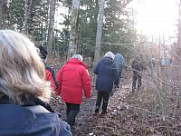 IMG_3301
