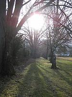 IMG_3308