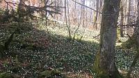 20160320_110347