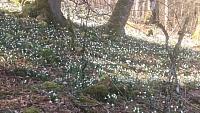 20160320_110401