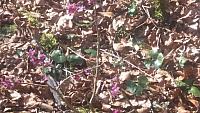 20160320_110856