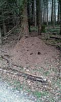 IMG-20160320-WA0004