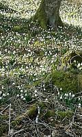 IMG-20160320-WA0013