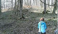 IMG-20160320-WA0016