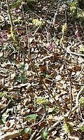 IMG-20160320-WA0021