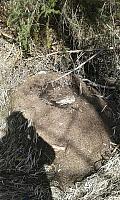 IMG-20160320-WA0026