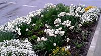 IMG-20160423-WA0004