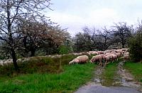 IMG-20160423-WA0012