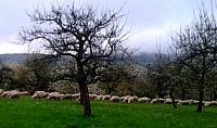 IMG-20160423-WA0018