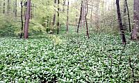 IMG-20160423-WA0024