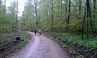 IMG-20160423-WA0025