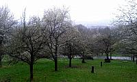 IMG-20160423-WA0026