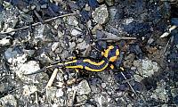 IMG-20160423-WA0050