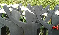 IMG-20170511-WA0000