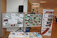 IMG_4335
