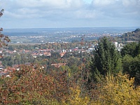 SAM_6455