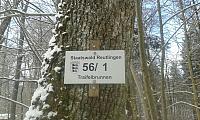 IMG-20170106-WA0074