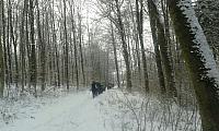 IMG-20170106-WA0078