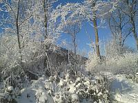 IMG-20170106-WA0096