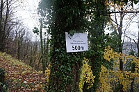 DSC07393