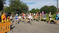 IMG-20170716-WA0039