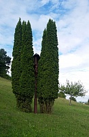 20170813_101337