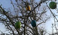 IMG-20170413-WA0008.jpg