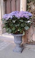 IMG-20170413-WA0009.jpg