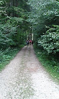 20170801_185230