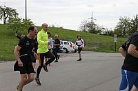 IMG_4286