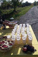 20181007_101855.jpg