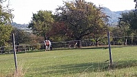 20181007_103212.jpg