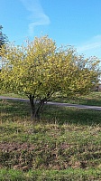 20181007_103235.jpg