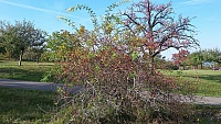 20181007_103320.jpg