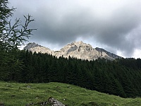 IMG_6971
