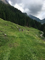 IMG_6972