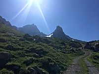 IMG_7011