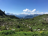 IMG_7025