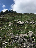 IMG_7041