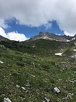 IMG_7045