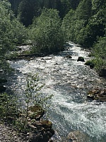 IMG_7054