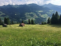 IMG_7151