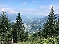 IMG_7154
