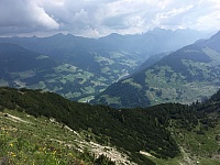 IMG_7161