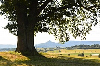 Sonderlauf Grosselfingen am 1. Juli