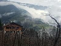 IMG_0512